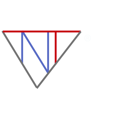 Naples Technology Ventures Logo